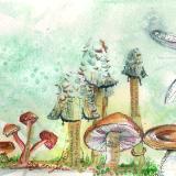 Toadstools and Butterflies 2