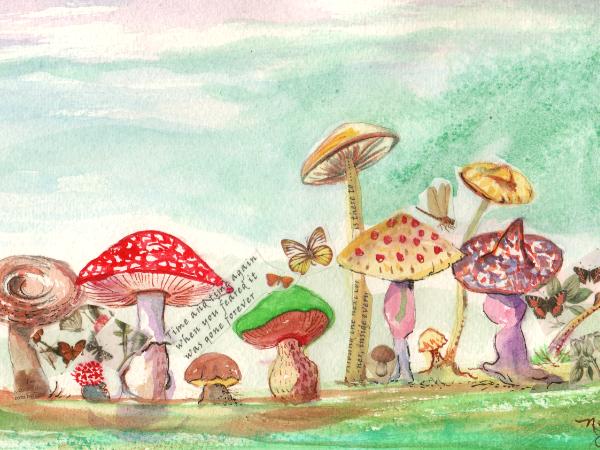 Toadstools and Butterflies