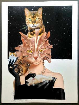 Astral Cat