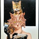 Astral Cat