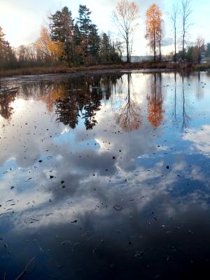 Reflections Reflections