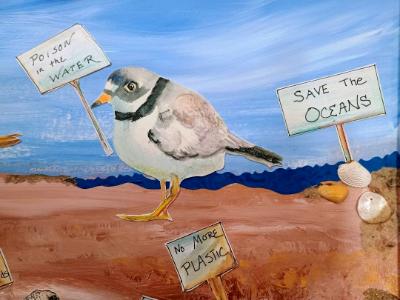 plover plover